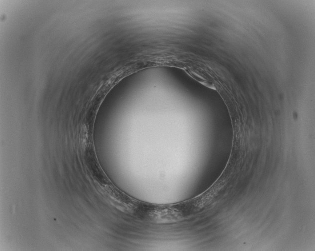 X0000071860752200607141815