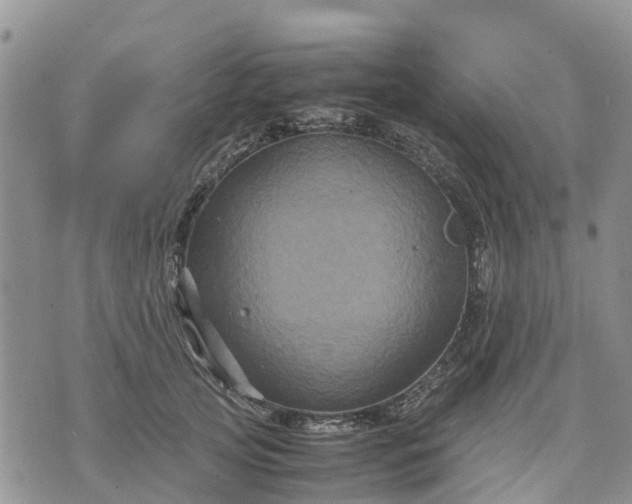 X0000071860753200607141815