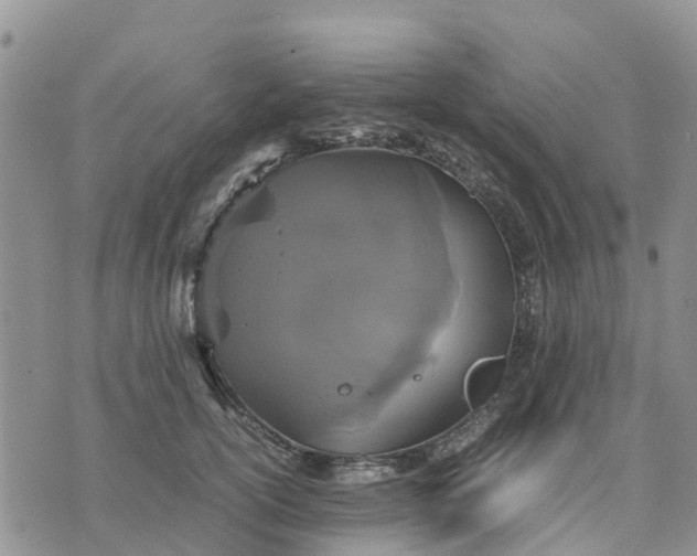 X0000071860754200607141815