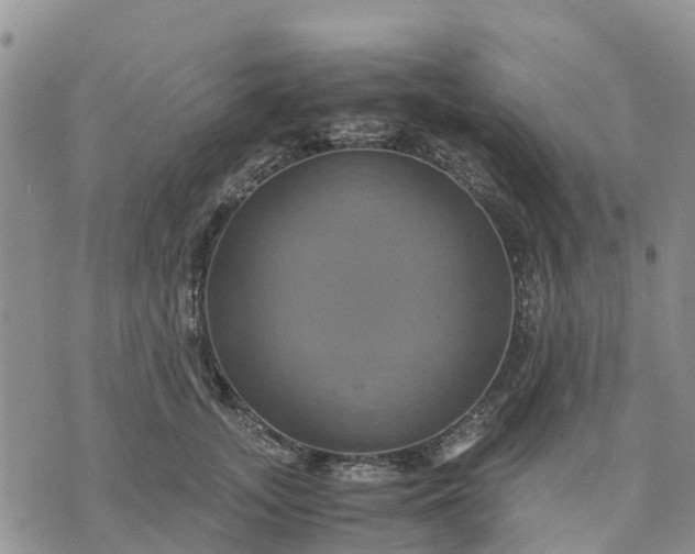 X0000071860755200607141815