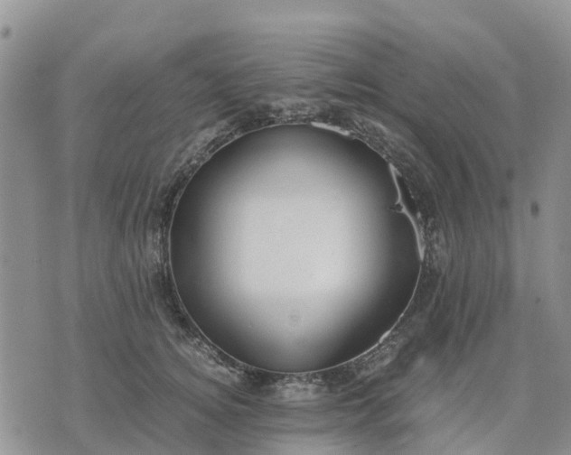 X0000071860756200607141815