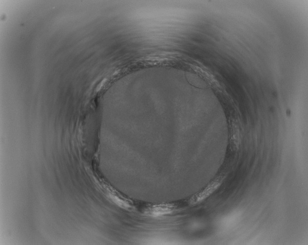 X0000071860758200607141815