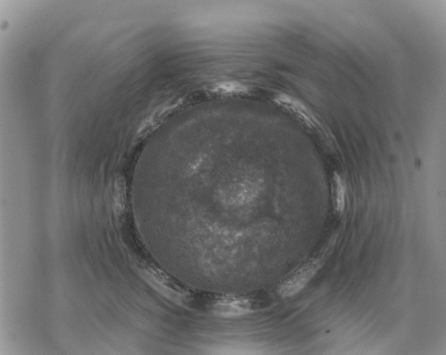 X0000071860760200607141815