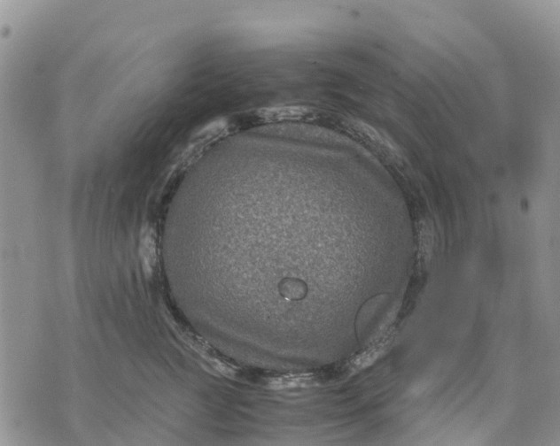 X0000071860761200607141815