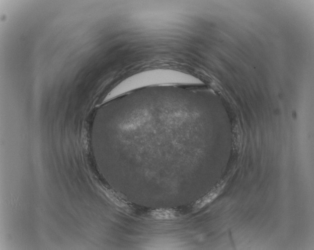 X0000071860762200607141815