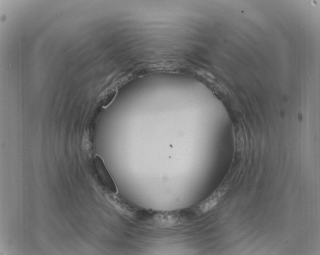 X0000071860764200607141815