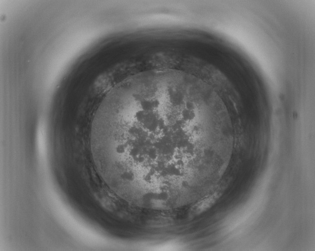 X0000071860765200607141815