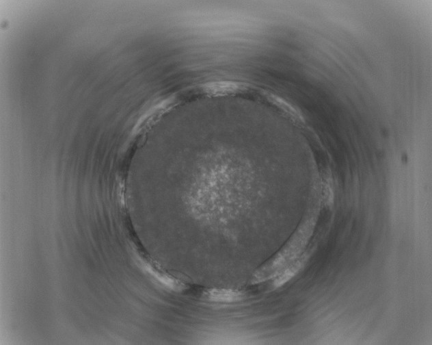 X0000071860766200607141815