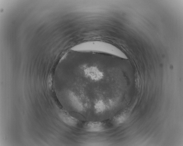 X0000071860767200607141815