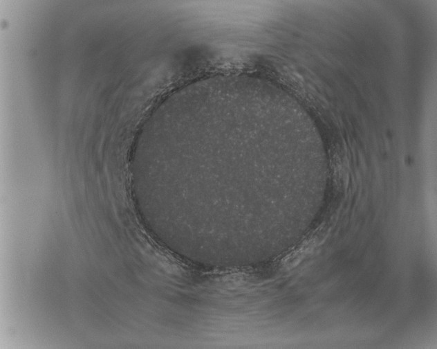 X0000071860769200607141814