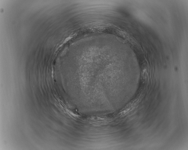 X0000071860772200607141814