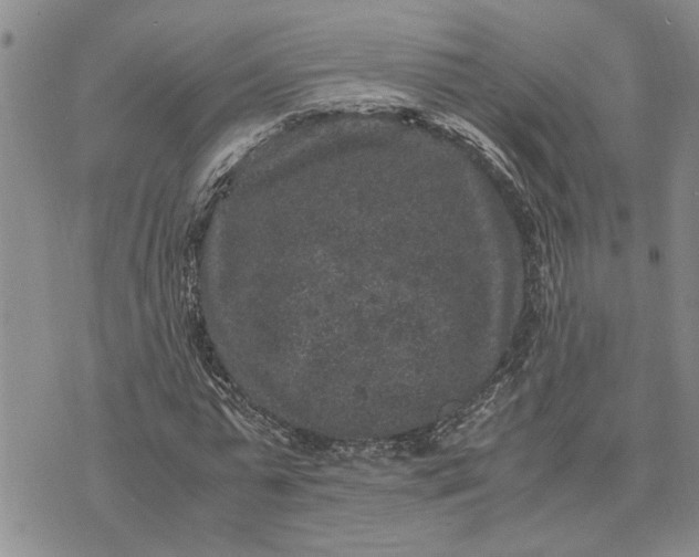 X0000071860775200607141814