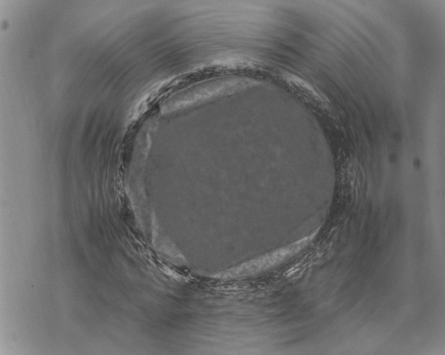 X0000071860776200607141814