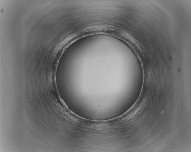 X0000071860778200607141814