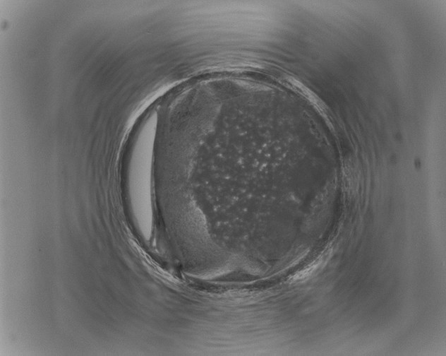 X0000071860779200607141814