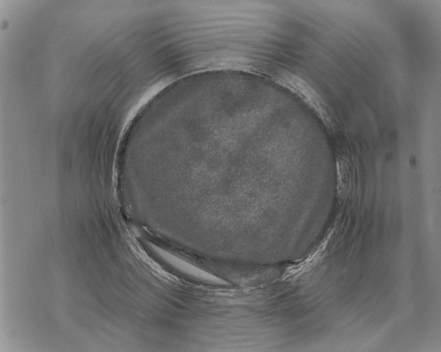 X0000071860780200607141814