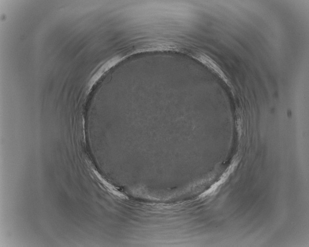 X0000071860781200607141814