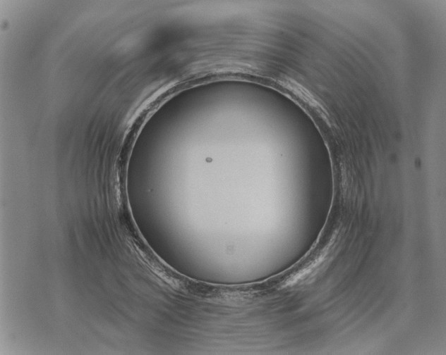 X0000071860782200607141814