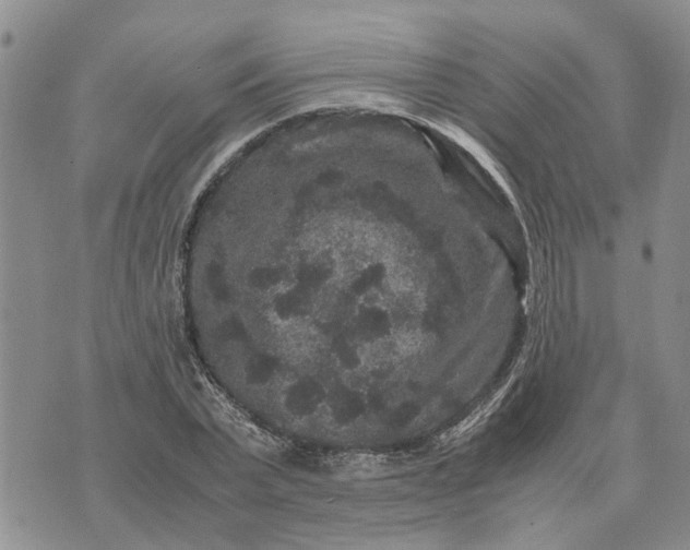 X0000071860783200607141814