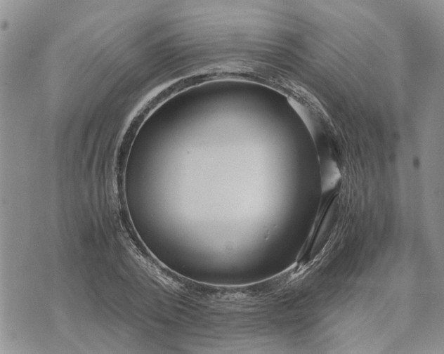 X0000071860784200607141814