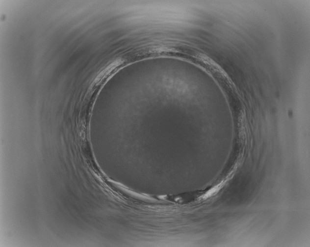 X0000071860785200607141814