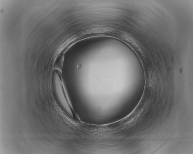 X0000071860786200607141814