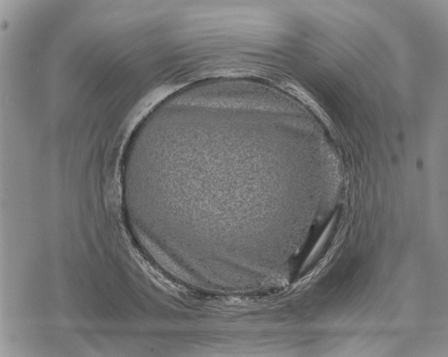 X0000071860787200607141814