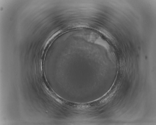 X0000071860790200607141814