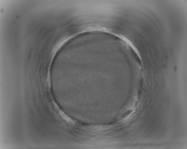 X0000071860791200607141814