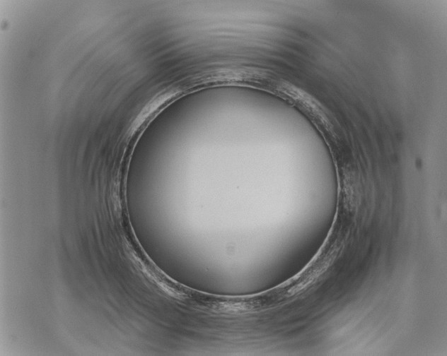 X0000071860794200607141814