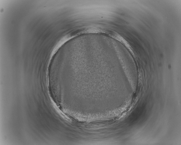 X0000071860795200607141814