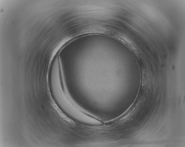 X0000071860796200607141814