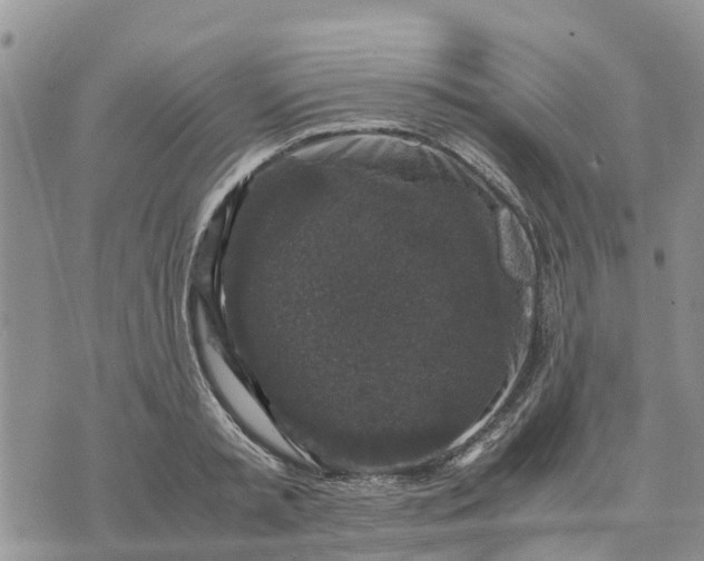 X0000071860797200607141814