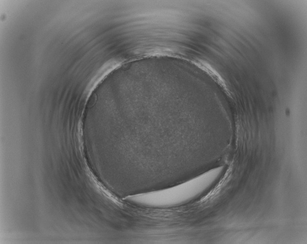 X0000071860798200607141814