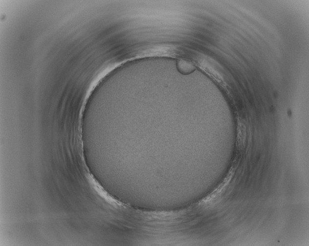 X0000071860800200607141814