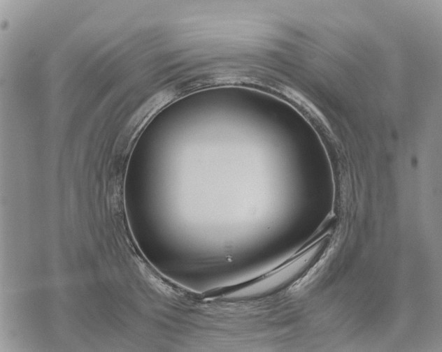 X0000071860801200607141814