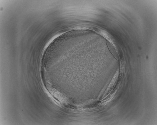 X0000071860803200607141814