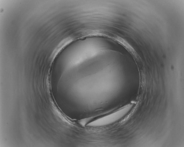 X0000071860806200607141814