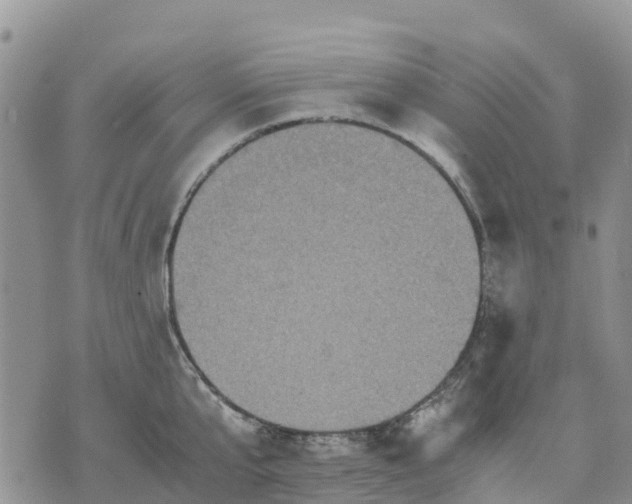 X0000071860807200607141814