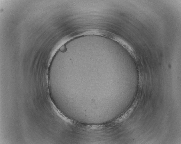 X0000071860808200607141814