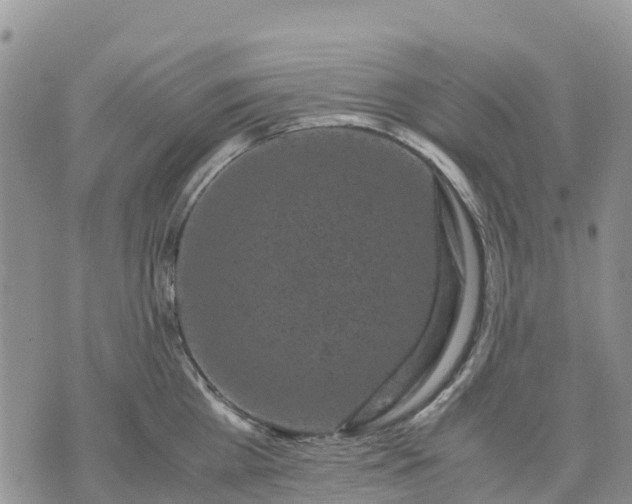 X0000071860809200607141814