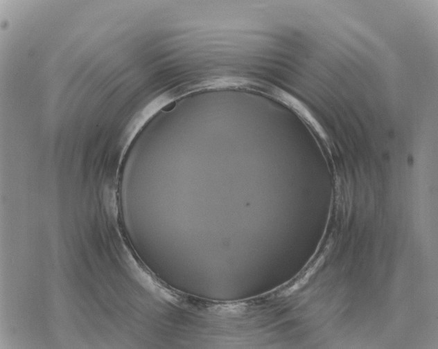 X0000071860810200607141813