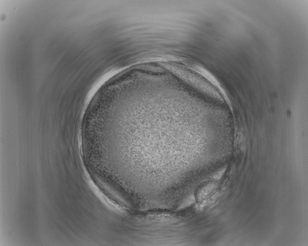 X0000071860811200607141813