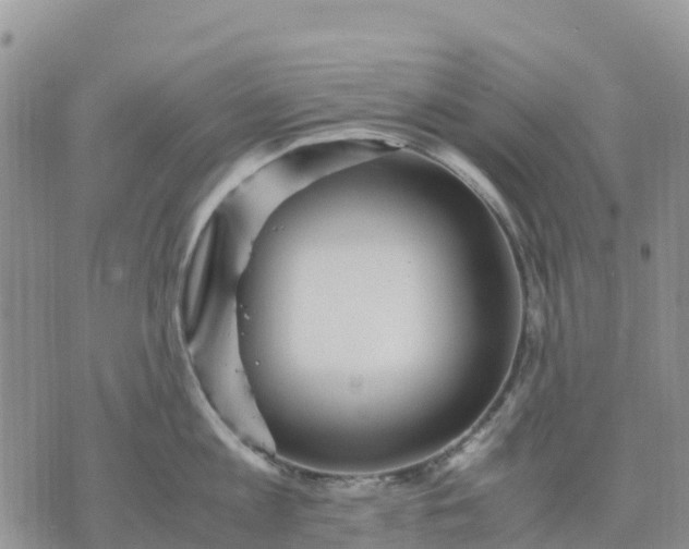 X0000071860813200607141813