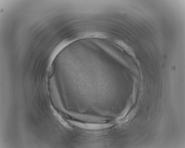 X0000071860816200607141813