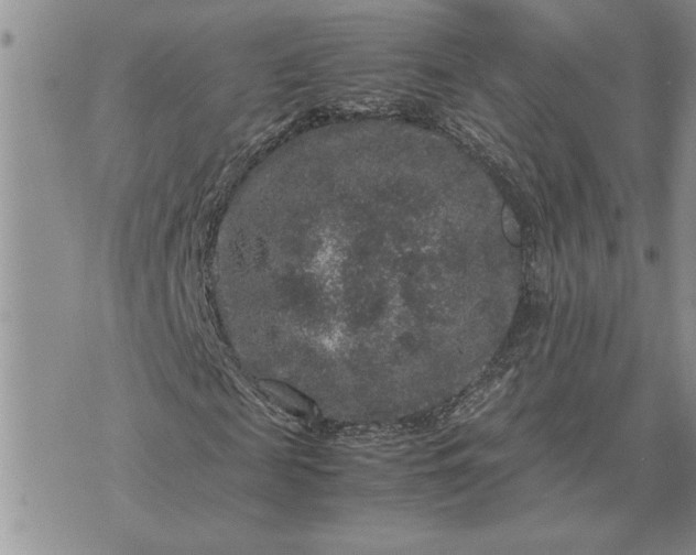 X0000071860817200607141813