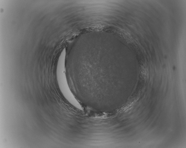 X0000071860818200607141813