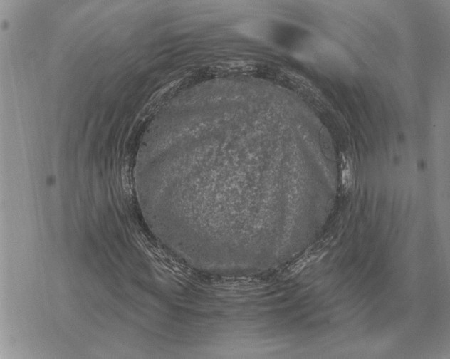 X0000071860819200607141813