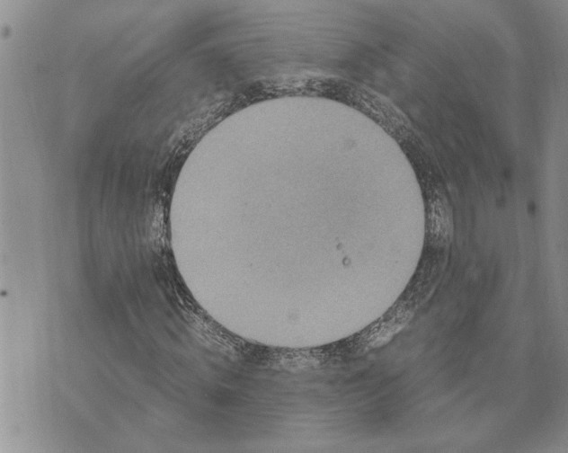 X0000071860820200607141813