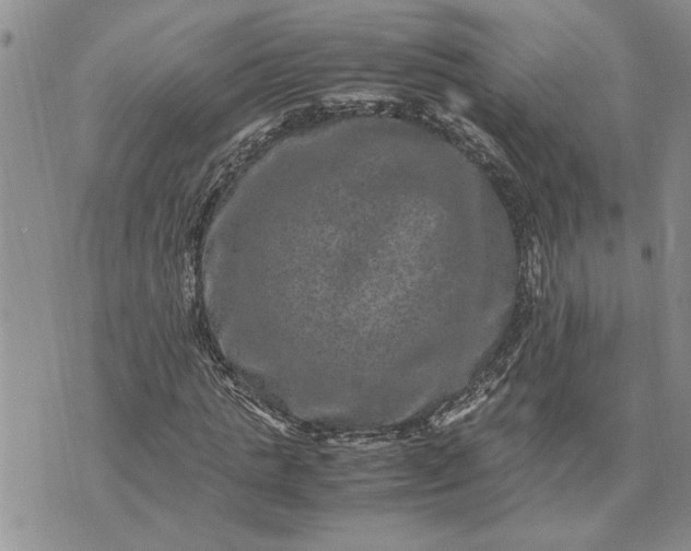 X0000071860821200607141813